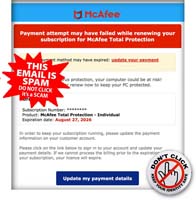 2609-24_McAfee
