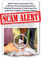 2609-26_brain